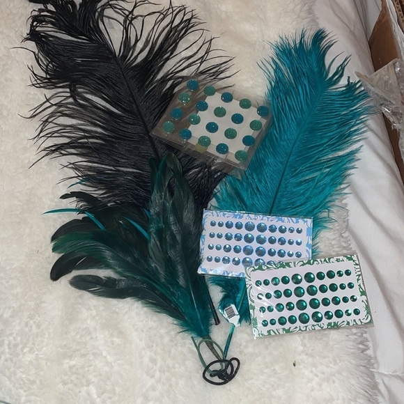 Peacock costume and brand new shoes - Picture 7 of 10